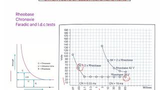 Rheobase and Chronaxie Electrodiagnosis part 3 LOW FREQUENCY [upl. by Ailongam]