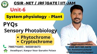 MCQs  Structure amp Function of Phytochromes amp Cryptochromes  Sensory photobiology  L12 [upl. by Leahcimal249]