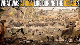 What Was Africa Like During The Ice Age [upl. by Tnek985]