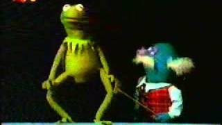 Sesamstraße  Kermit und Professor Hastig  Körperteile deutsch [upl. by Ecidnac]