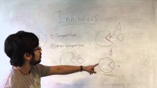 Enzymes Cofactors and Inhibitors [upl. by Yttam]