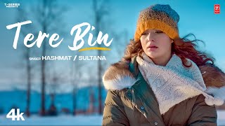 Tere Bin Official Video  Hashmat Sultana  Latest Punjabi Songs 2023  TSeries [upl. by Ahsinna]