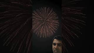 Amazing firework fireworks firework skyshot skyshots [upl. by Kassab793]