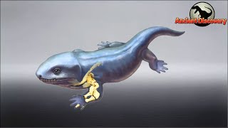 Why do terrestrial vertebrates all have five digits  Evolution Story [upl. by Oninrutas118]