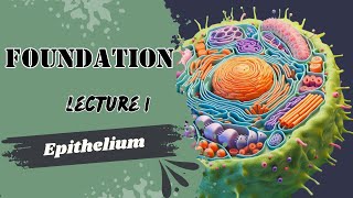 Epithelium 1 [upl. by Cele]