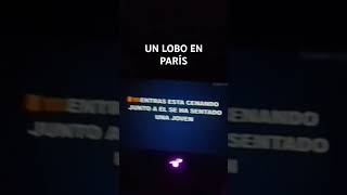 Un lobo en París Karaoke [upl. by Oiluig]