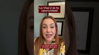 LA VISA U ES TU OPORTUNIDAD [upl. by Nizam243]