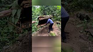 Make A Shelter Hanging On A Tree To Survive Alone In The Forest bushcraft camping camp building [upl. by Jael]