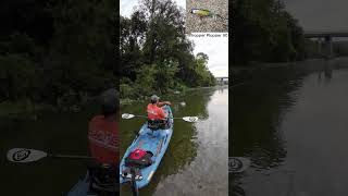 Smallmouth Bass on Crooked Creek  Kayak Fishing  Bonafide RVR 119  Nature [upl. by Harrak796]