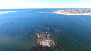 Plum Island Newburyport MA  The Mouth of the Merrimack  DJI Phantom 4 DJI GO app [upl. by Evie]