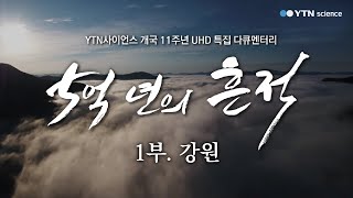 5억 년의 흔적 1부 강원 고생대 지질 공원  YTN 사이언스 [upl. by Yerg]