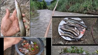 Single Hook Fishing  Milak River  Fishing Spiny Eel Fish  Chungtia village [upl. by Allimrac]