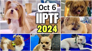 14th India International Pet Trade Fair IIPTF 2024 Mumbai  Sunday October 6 [upl. by Rodolphe]