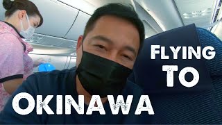 Flying from Tokyo to Okinawa on ANA [upl. by Enyahc]