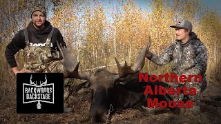 Backwoods Backstage  Giant Northern Alberta Bull Moose [upl. by Cohdwell]