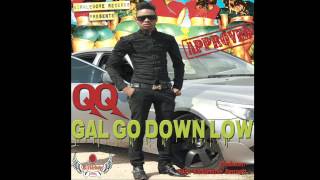 QQ  Gal Go Down Low Official Audio [upl. by Annovad]