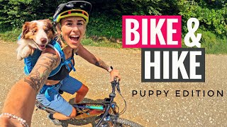 1800m Bike amp Hike EMTB Tour mit Hund in Rucksack How To [upl. by Anaiq72]