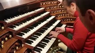 SophieVéronique CaucheferChoplin Organ Improvisation at Saint Sulpice de Paris [upl. by Gadmon]