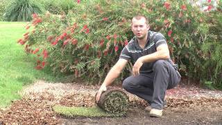 How To Lay Turf Properly  Step By Step Instruction Video [upl. by Concordia]