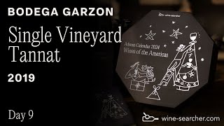 WineSearcher Advent Calendar Day 9 Bodega Garzón Single Vineyard Tannat 2019 [upl. by Verlee]