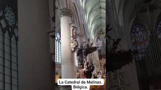 LA CATEDRAL DE MALINAS Bélgica [upl. by Yuht]