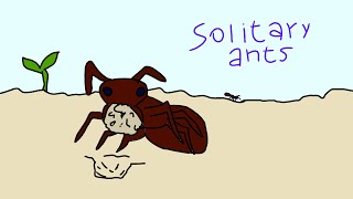 Solitary ants my first animation [upl. by Veal]