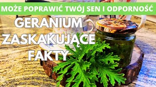 Geranium  zaskakujące fakty Jak może poprawić twój sen i odporność [upl. by Clementas270]