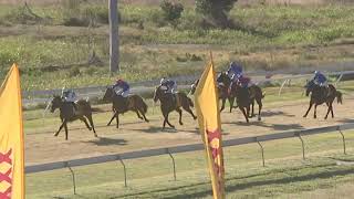 Yeppoon 20240803 Race 4 [upl. by Orit]