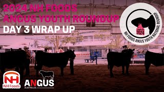 Wrapping up Day 3 of the 2024 NH Foods Angus Youth National Roundup [upl. by Anilem]