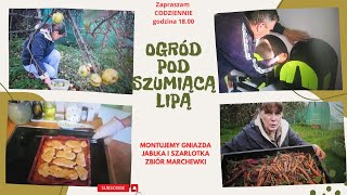 Codzienne życie na wsi  montujemy gniazda w kurniku zbieram jabłka na szarlotkę zbiór marchewki [upl. by Gasparo12]