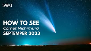 Look Up Comet Nishimura Can Now Be Seen In The Sky [upl. by Alemaj]