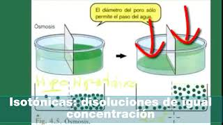 Disoluciones y tampones  2 bachillerato actualizado [upl. by Yendyc]