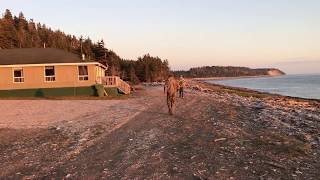 Anticosti Island Sepaq Anticosti Ste Marie 2 Cabin [upl. by Kelleher]