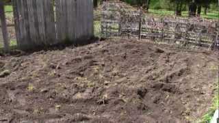 Prepping for SHTF  Food Episode 1  Garden Prep [upl. by Piers]