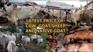 LATEST PRICE OF VARIOUS LIVESTOCK  ADUWAWA CATTLE MARKET COW RAM amp NATIVE GOAT COST OF PARTS OF COW [upl. by Darrick]