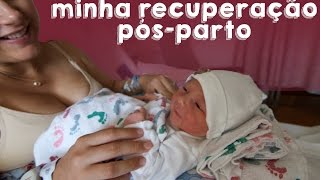 MINHA RECUPERAÇÃO PÓSPARTO normal com uso de vácuo  Fernanda Machado [upl. by Alie354]