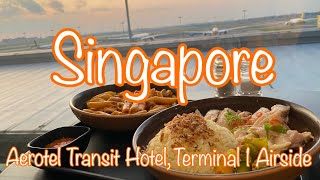 Aerotel Transit Hotel  Singapore 制限エリア内トランジットホテル [upl. by Henryetta428]