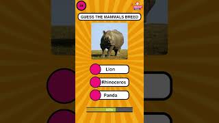 Categorizing Animals by Their Types 🦁🐍🐟  Animal Kingdom Guide Animals AnimalTypes [upl. by Euf]