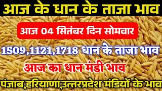 धान का ताजा भाव1121 धान के भाव में भयंकर उछाल1718बासमतीPR10 भाव में तेजी1121 paddy rate today [upl. by Anthe543]