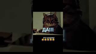 Ето шедевр 😂😂😂 shortvideo memes funny [upl. by Cody386]