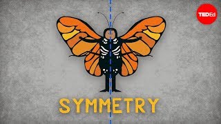 The science of symmetry  Colm Kelleher [upl. by Cahilly]