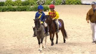 Shetland Pony Race [upl. by Ppilihp337]