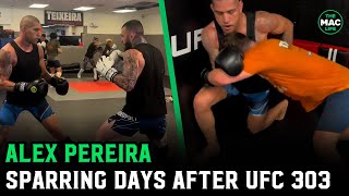 Alex Pereira sparring two days after UFC 303 [upl. by Nairadas924]