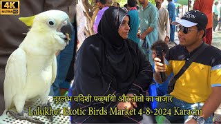 Lalukhet Exotic Birds and Parrots Market 482024 Karachi  Unique and Rare Hen and Rooster [upl. by Asilam]