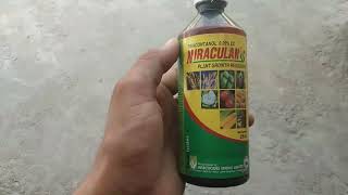 Niraculan Plant Growth Regulator Triacontanol 005 EC For Production Growth [upl. by Are]