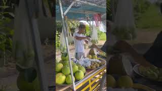 Buying fruits and supporting local businesses in Mueang Phichit  Mueang Kao Thailand [upl. by Nedry610]