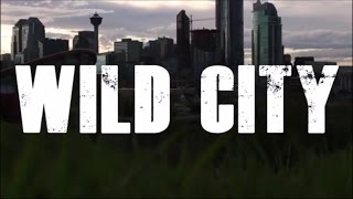 The Pretty Reckless  Wild City VIDEO with lyrics [upl. by Aylmar]