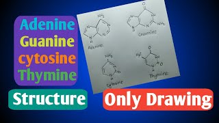 The Discovery of the Structure of DNA  AMS OpenMind [upl. by Arihsay386]