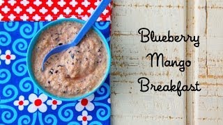 Recipes for Babies How to Make Blueberry Mango and Protein Puree for Toddlers  Weelicious [upl. by Reppart394]