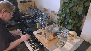 Intervention of the Void  DIY Noisebox Novation Peak Bioscape [upl. by Chally]